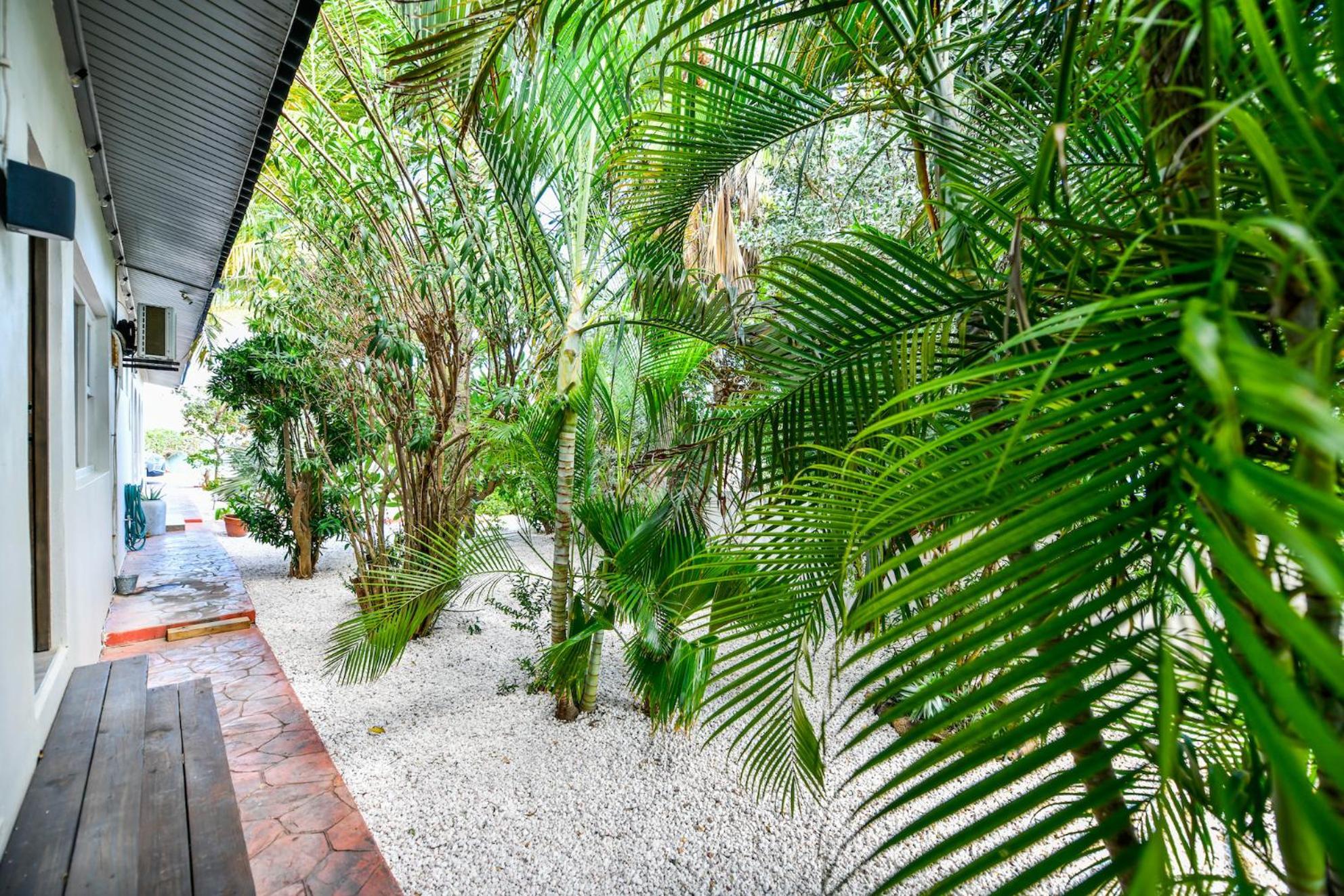 Aloe B&B Oranjestad Exteriör bild
